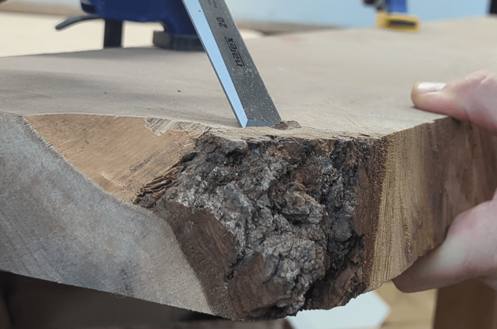 Close-up of a live-edge black walnut wood table showcasing unique grain and texture, a chisel is being used to pry off bark.